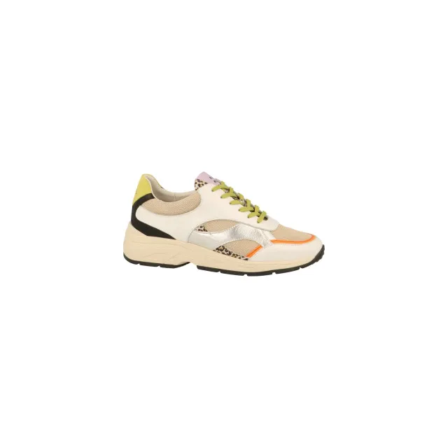 Piedi Nudi Zerba Sneakers Print / Multi