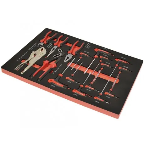 T TORX  T INBUS EN TANGENSET  GRIPTANG  PUNTTANG  WATERPOMPTANG SET 17 DELEN IN FOAM INLEG